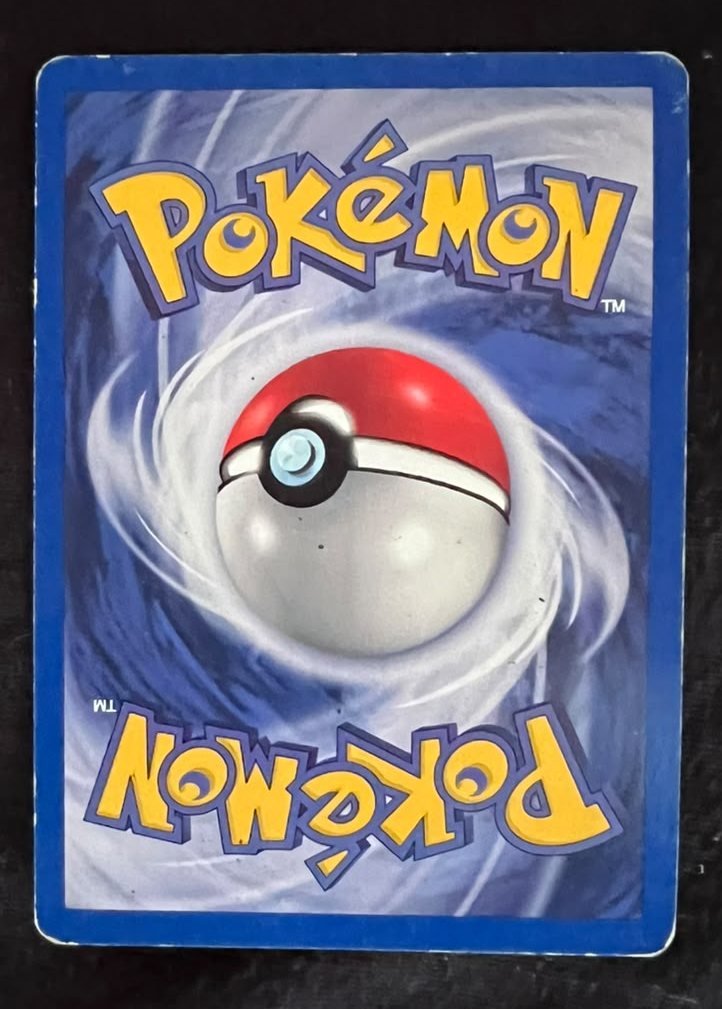 Pinsir, verso da carta